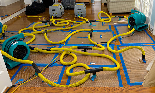 Professional Burst Pipe Water Damage technician working in Sloan, IA
